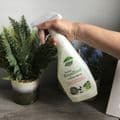Organic Indoor Pest Repellent Spray Only £7.99